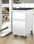 Slim Mobile B/F Storage Pedestal - Kansas City Office Furniture