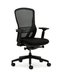 Ousby Ergonomic Mesh Back Desk Chair, Kansas City Office furniture