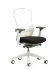 Ousby Ergonomic Mesh Back Desk Chair, Kansas City Office furniture