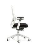 Ousby Ergonomic Mesh Back Desk Chair, Kansas City Office furniture