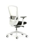 Ousby Ergonomic Mesh Back Desk Chair, Kansas City Office furniture