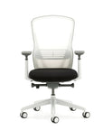 Ousby Ergonomic Mesh Back Desk Chair, Kansas City Office furniture