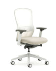 Ousby Ergonomic Mesh Back Desk Chair, Kansas City Office furniture