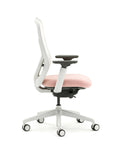 Ousby Ergonomic Mesh Back Desk Chair, Kansas City Office furniture